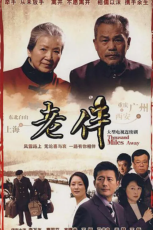 老伴(2007)海報