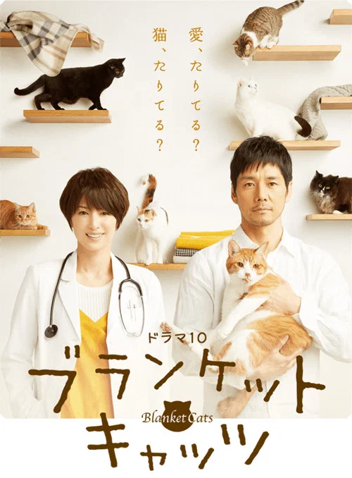 毛毯猫(2017)海报