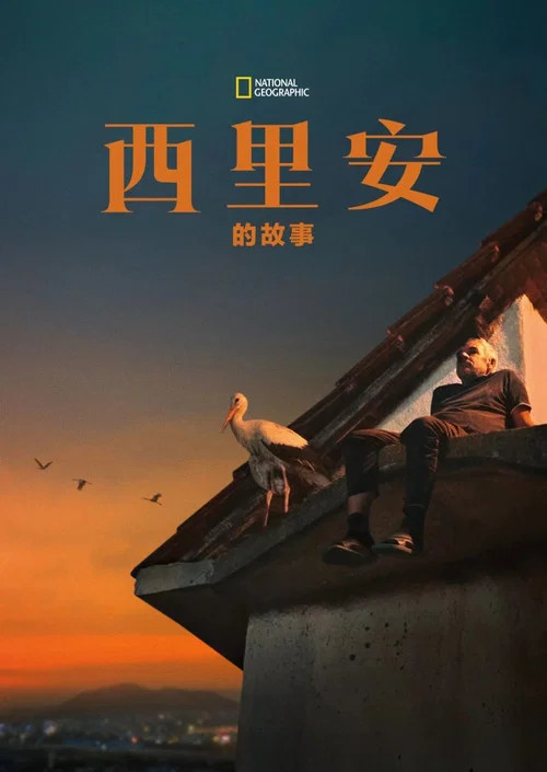 西里安的故事(2025)海报