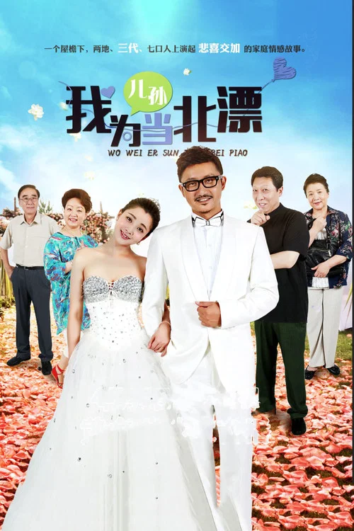 我为儿孙当北漂(2015)海报