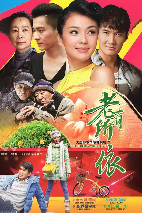老有所依(2013)海报