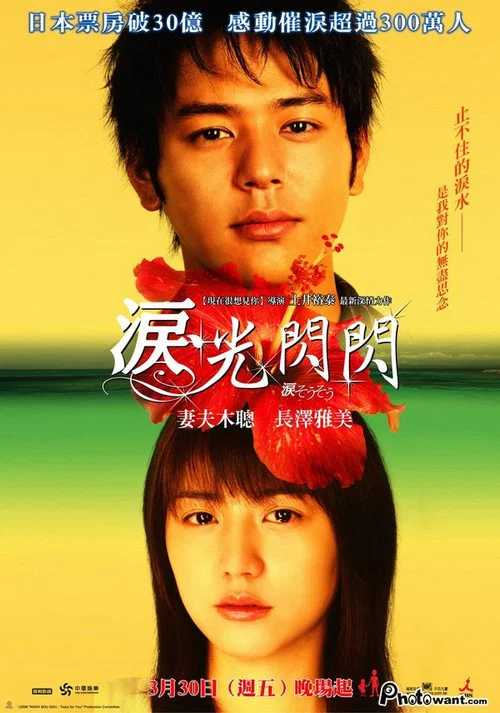 泪光闪闪(2006)海报