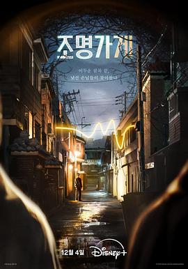 照明商店2024(2024)海报