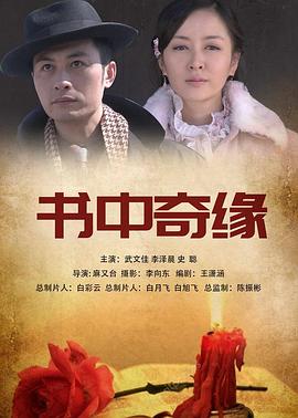稻草人上门(2011)海报
