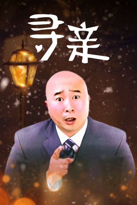 尋親(2009)海報