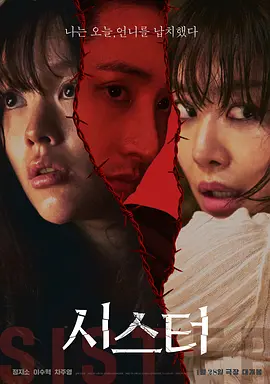 姐妹2026(2026)海報