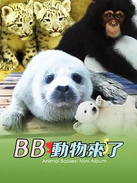 动物宝宝迷你特辑(2014)海报
