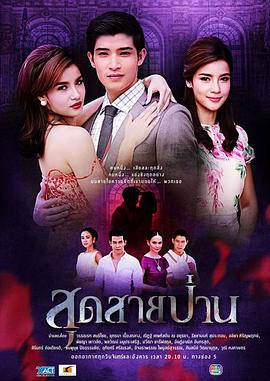 无尽的爱2013(2013)海报