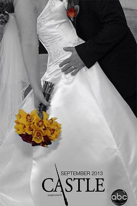 灵书妙探第六季(2009)海报