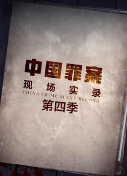 罪案现场实录 第四季(2019)海报
