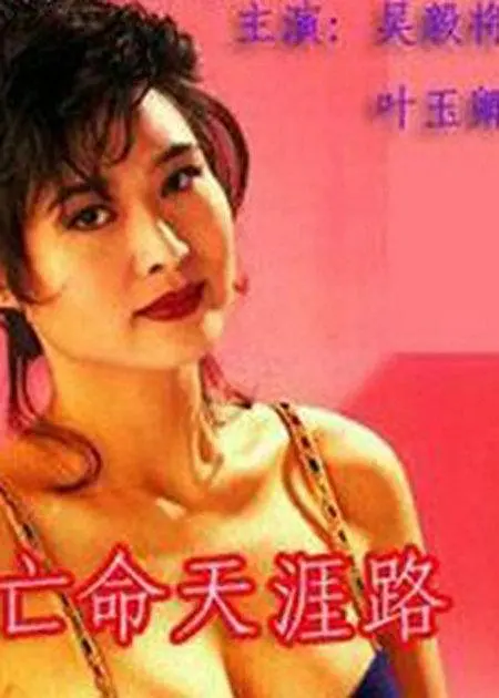 亡命天涯路国语(1990)海报