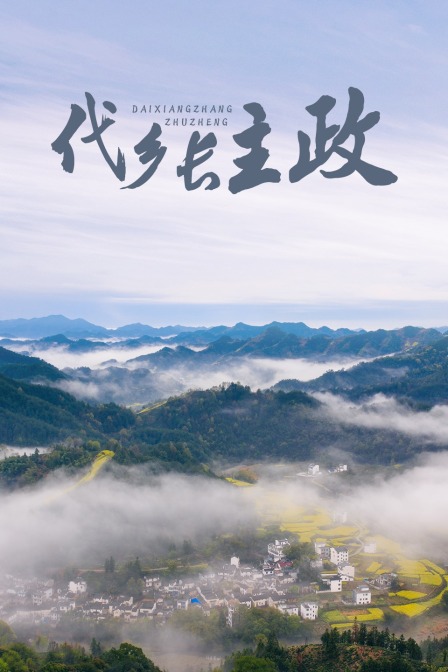 代乡长主政(2021)海报