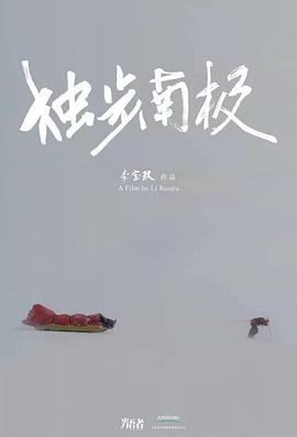 光语者独步南极(2025)海报