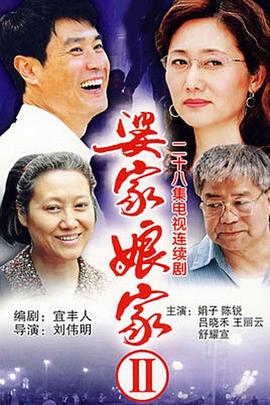 婆家娘家2(2007)海报