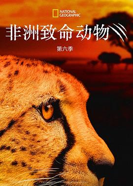非洲致命动物第六季(2011)海报