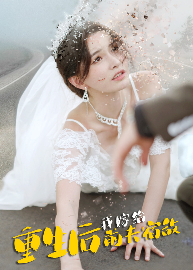 重生後我嫁給前夫宿敵海報