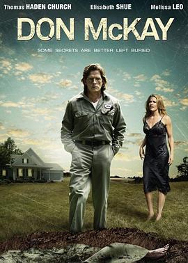 騙局2009(2009)海報
