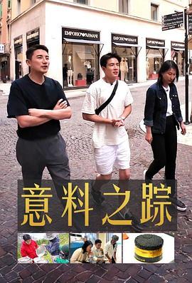 意料之踪(2024)海报