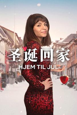 聖誕尋伴第3季(2019)海報