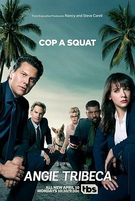 爆笑女警第三季(2017)海報
