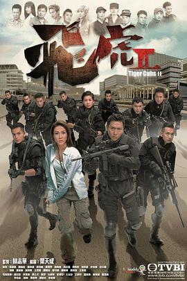 飛虎2粵語(2014)海報