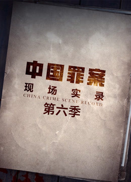 罪案现场实录 第六季(2019)海报