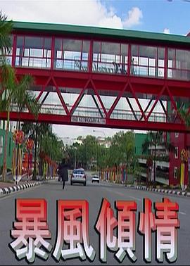 暴风倾情(1995)海报
