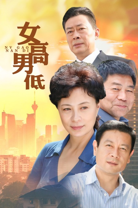 女高男低(2008)海报