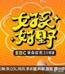 女孩好野第二季(2024)海報