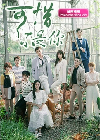 可惜不是你 越南語版(2017)海報