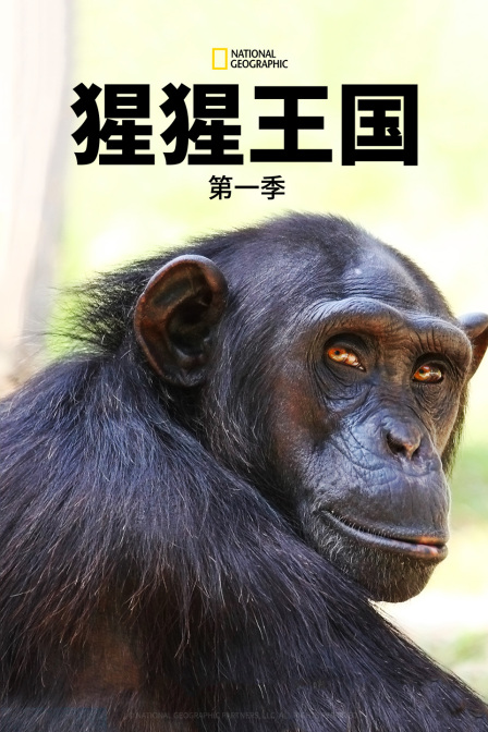 猩猩王国第一季(2012)海报