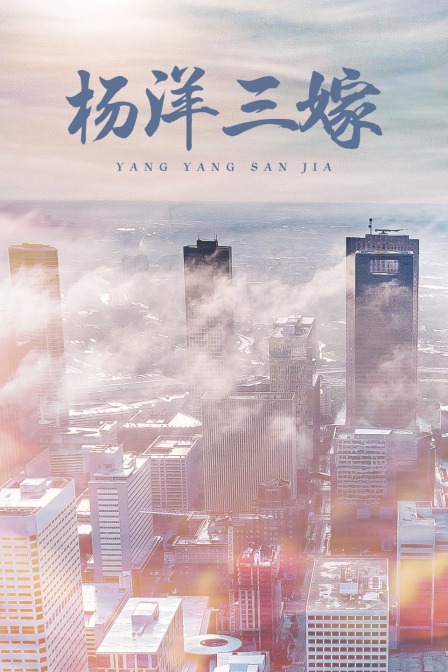 杨洋三嫁(2008)海报