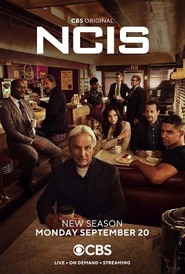 海军罪案调查处第十九季(2021)海报