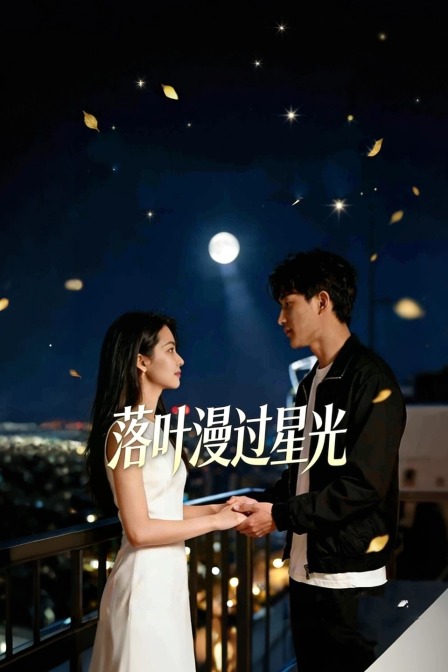 落叶漫过星光(2026)海报