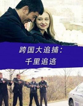 跨国大追捕:千里追逃(2016)海报