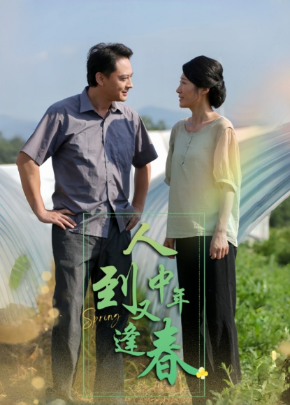 人到中年又逢春海报