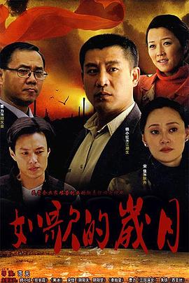 如歌的岁月(2007)海报