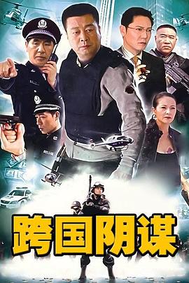 跨国阴谋(2010)海报