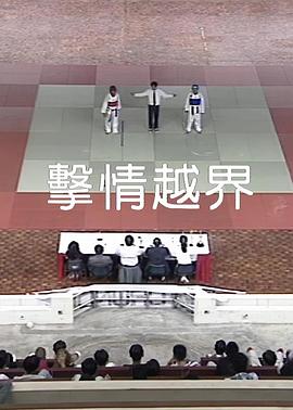 击情越界(1999)海报