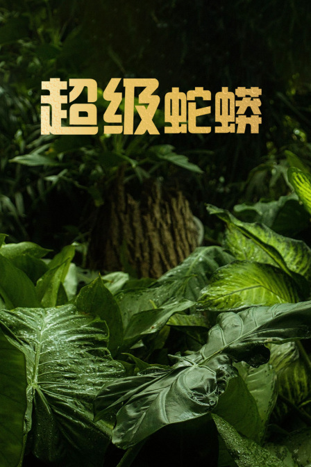 超级蛇蟒(2018)海报