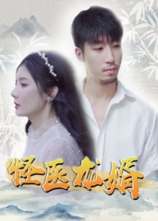 怪醫龍婿海報