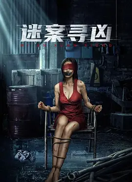 迷案寻凶电影版(2024)海报