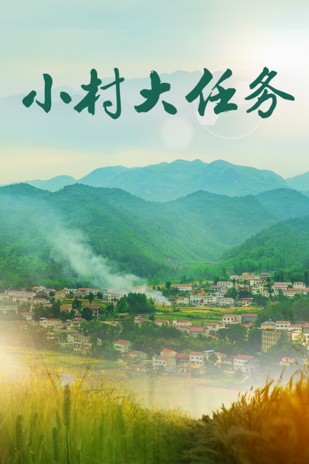 小村大任务(2019)海报