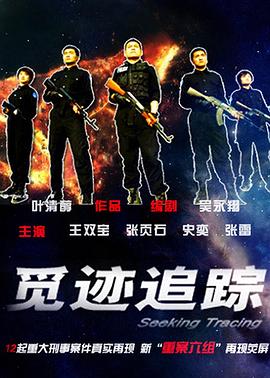 覓跡追蹤(2009)海報
