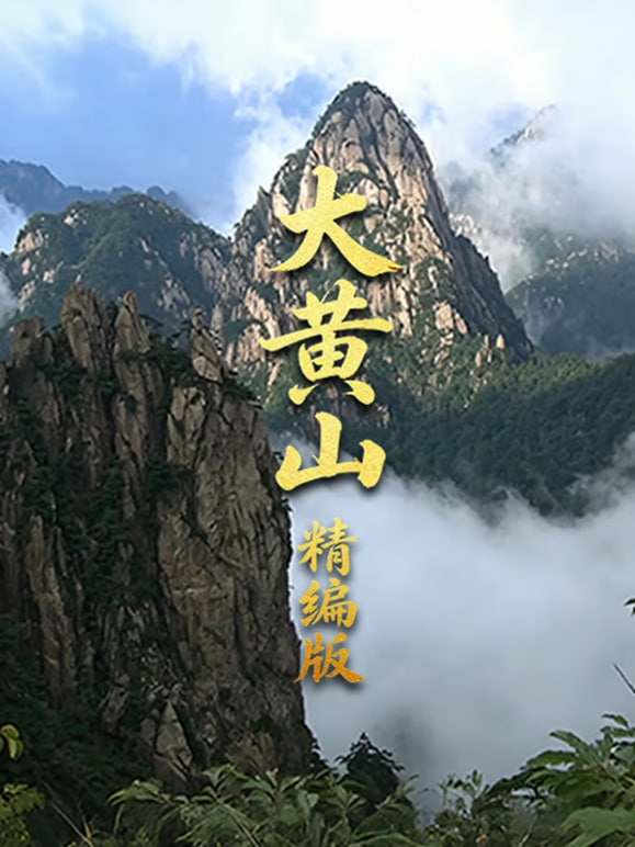 大黄山精编版(2014)海报