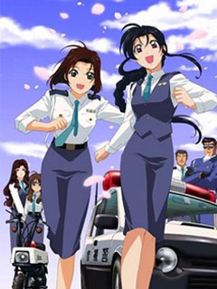 逮捕令第二季(2001)海报