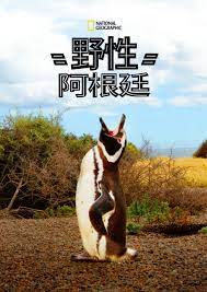 国家地理野性阿根廷(2017)海报