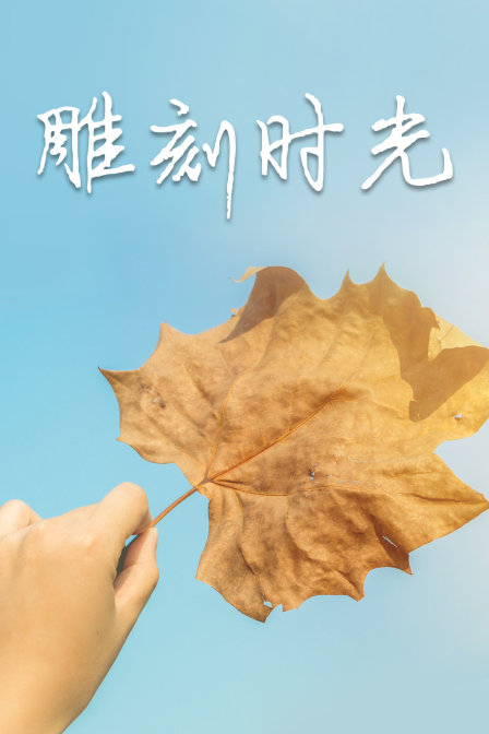 雕刻时光(2016)海报