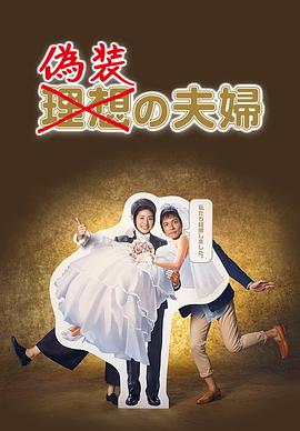 伪装夫妇2015(2015)海报