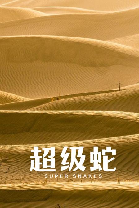 超級蛇(2023)海報